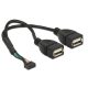 DeLOCK 84933 USB kábel 0,2 M USB 2.0 2 x USB A Fekete