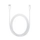 Apple Lightning to USB-C Cable 2m White