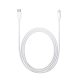 Apple Lightning to USB-C Cable 1m White