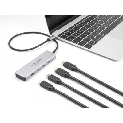 DeLOCK 64231 hálózati csatlakozó USB C-típus 10000 Mbit/s Szürke