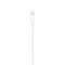 Apple Lightning to USB Cable 1m White