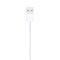 Apple Lightning to USB Cable 1m White