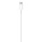 Apple USB-C - Lightning Cable 1m White